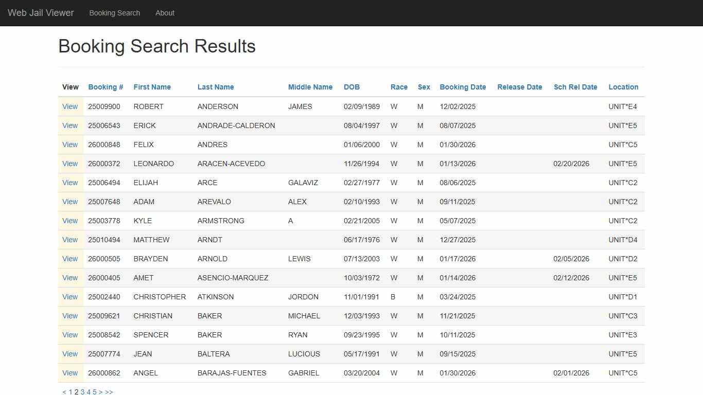 BookingSearchDetail - Web Jail Viewer